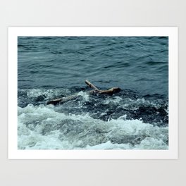 Drifting Alone in a Great Lake Art Print | Photo 