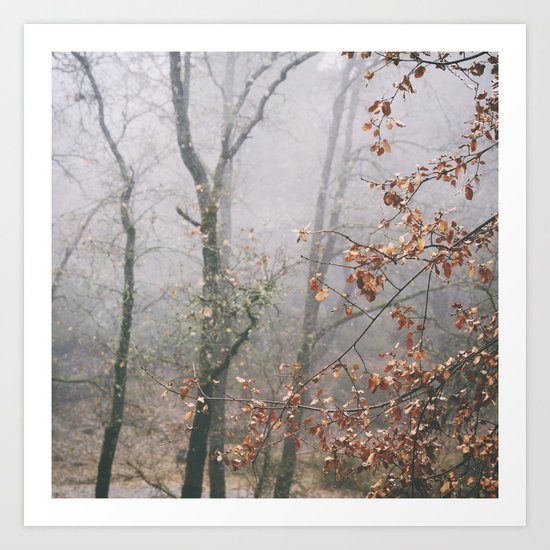 "Into the woods VII". Wandering into the fog Art Print