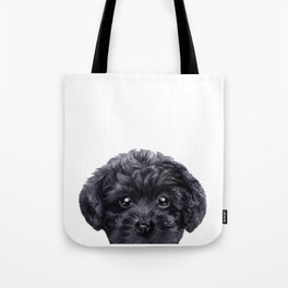 Black toy poodle Dog illustration original painting print Tote Bag