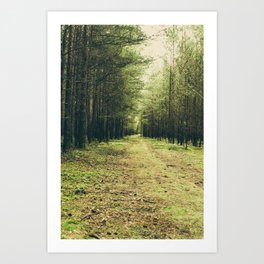 Forest Path... Art Print