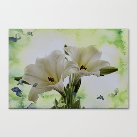 White Lily Canvas Print