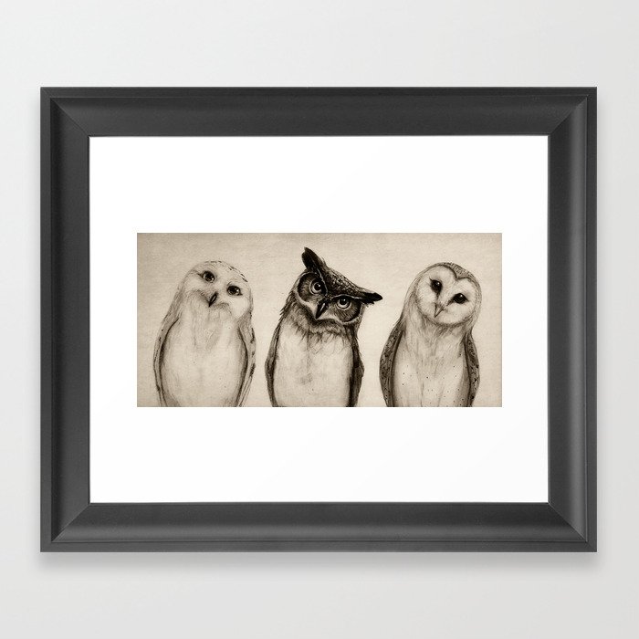 The Owl's 3 Framed Art Print