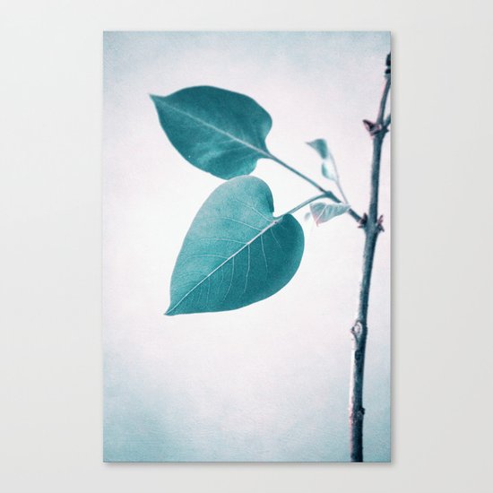 the beautiful heart Canvas Print