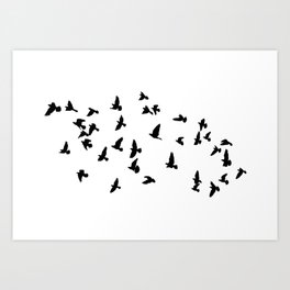 Flock of flying birds Art Print