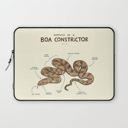 Anatomy of a Boa Constrictor Laptop Sleeve