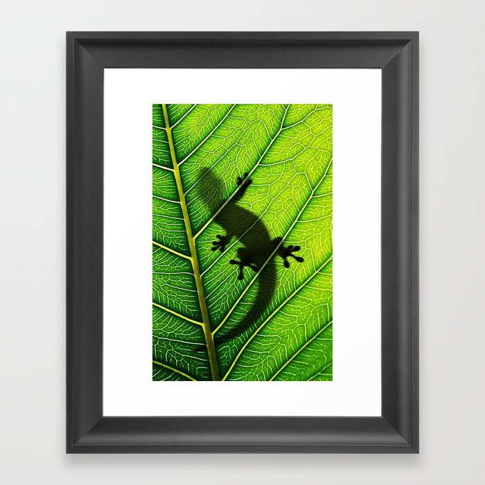Lizard Framed Art Print