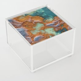 Coral Abstract II Acrylic Box