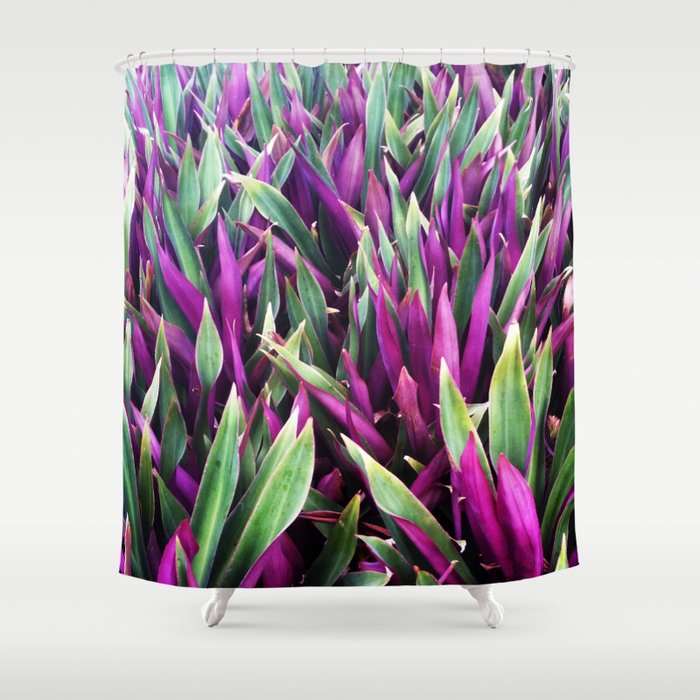 Two Sided Shower Curtain By Alexandria Kuo Society6 Two Sided Shower Curtain