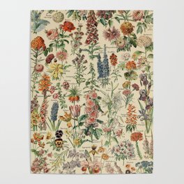 French Vintage Flowers Chart Adolphe Millot Fleurs Larousse Pour Tous Funky Cozy Boho Maximalist Poster