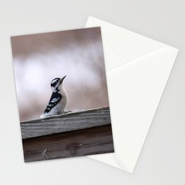 Mini Woodpecker (photography) Stationery Cards