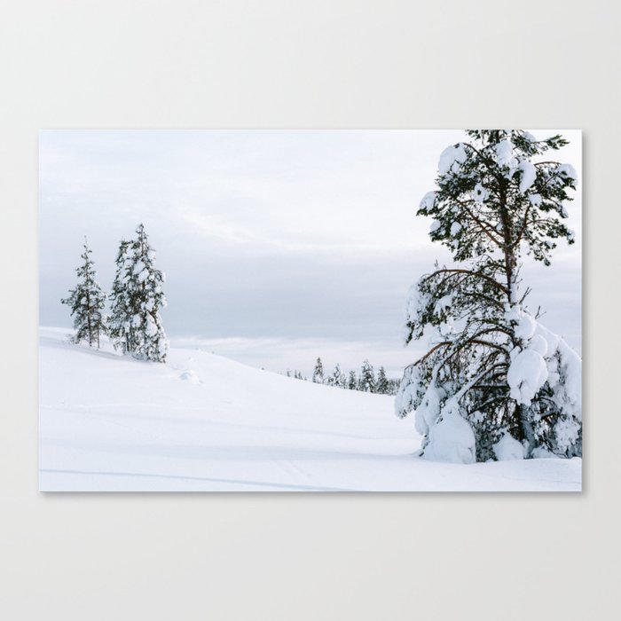 Magical Snow Landscape near Saariselkä, Finland, Lapland in Winter || Nature Art print Canvas Print