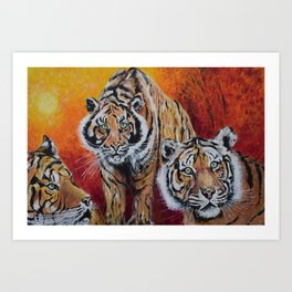 Three Lucky Tigers Art Print