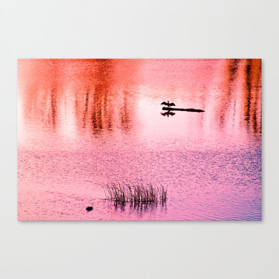 Ripples, reed, reflections,red Canvas Print
