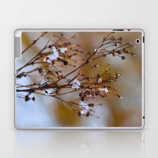 Frosty Days Laptop & iPad Skin