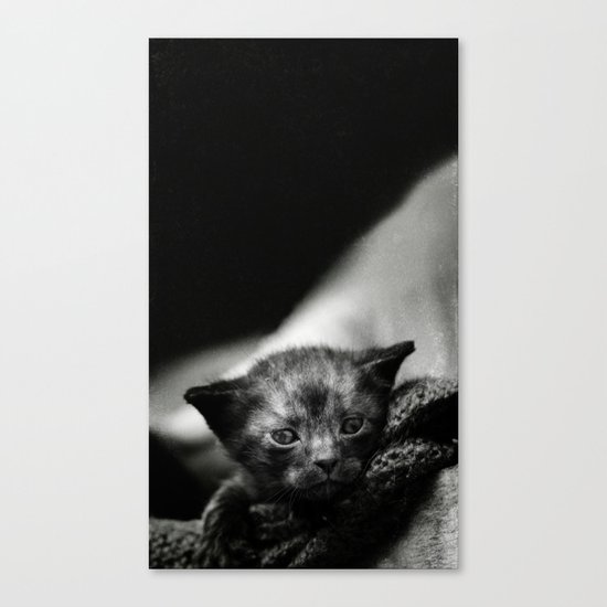 Yoda Kitten Canvas Print