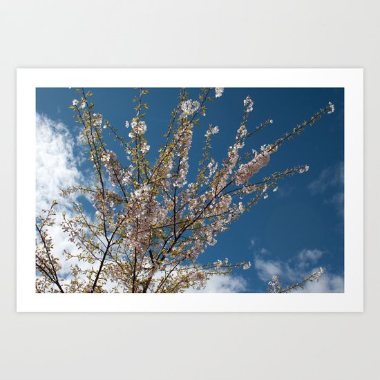 Joy of life! Spring pink cherry blossom tree against blue sky. Art Print