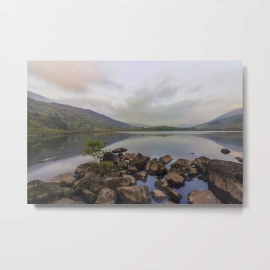 Morning Glow Metal Print
