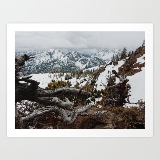 Wenatchee National Forest Art Print