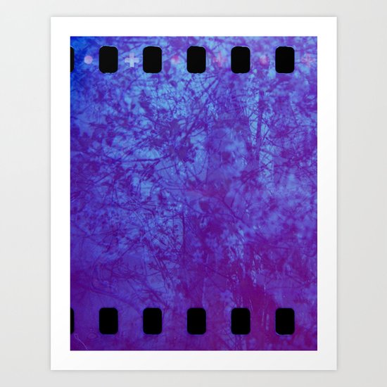 Pink & Purple Blossoms Art Print