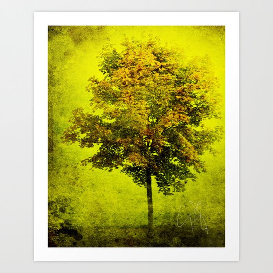 The Wishing Tree Art Print