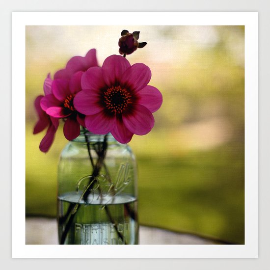Dahlias In A Blue Jar Art Print