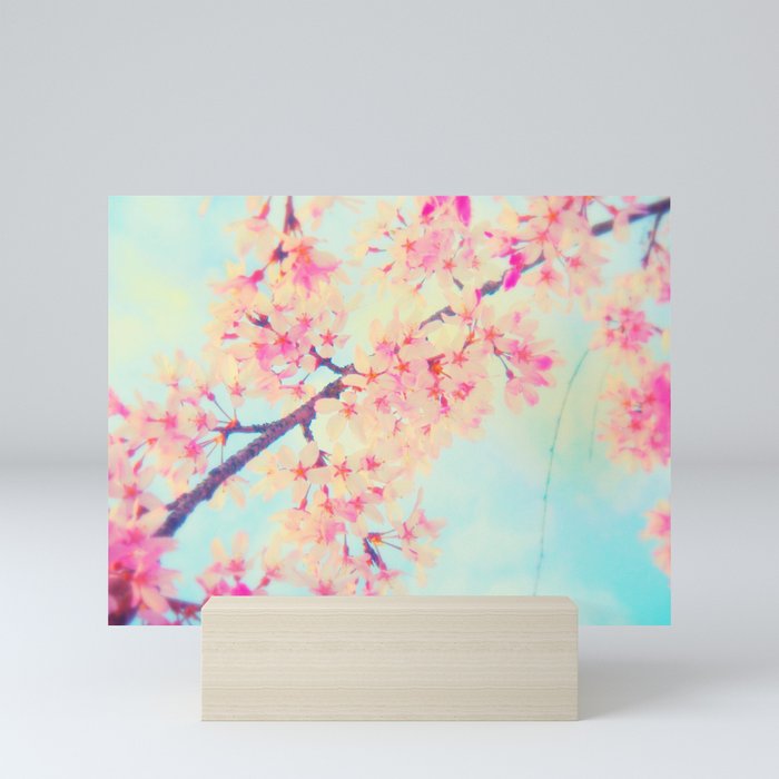 Cherry blossoms Mini Art Print