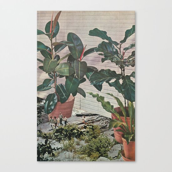Plantlife - Safari Canvas Print