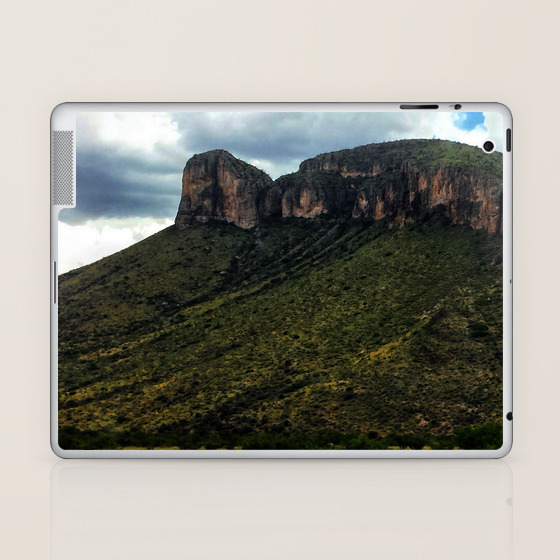 Painted Southern Arizona Greenery Laptop Ipad Skin By