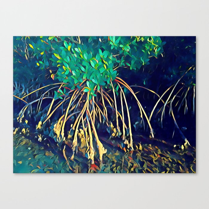 Mangrove Oyster Canvas Print