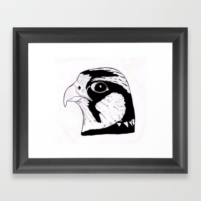 Falcon Face Framed Art Print