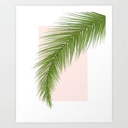 Poster Home Decor Coconut Palm Tree Leaves Over Art/Canvas Print Wall Art 