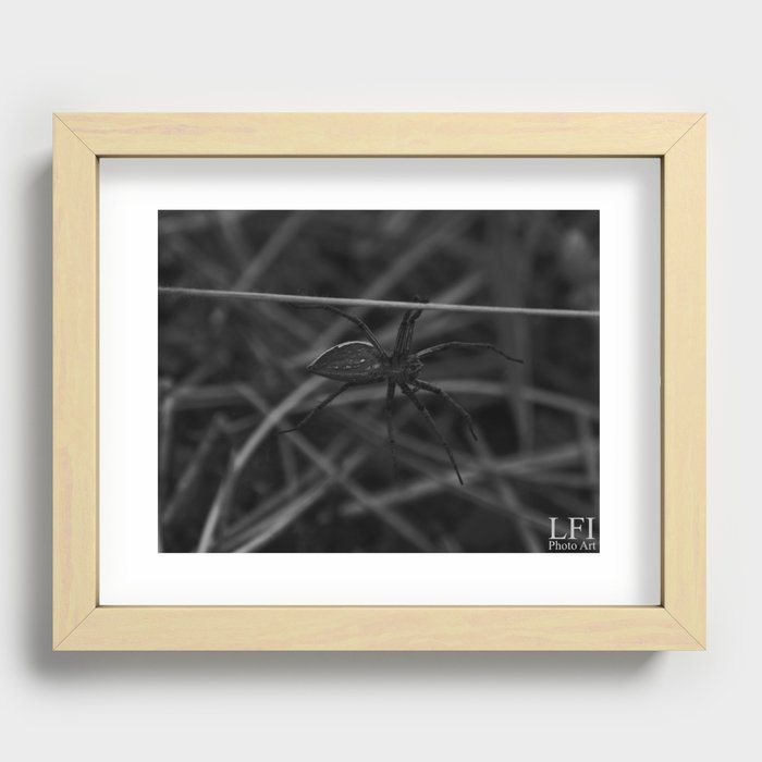 spider on a leaf Recessed Framed Print