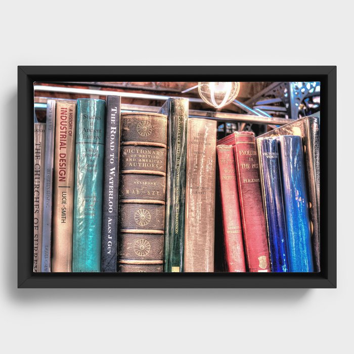 Books Framed Canvas