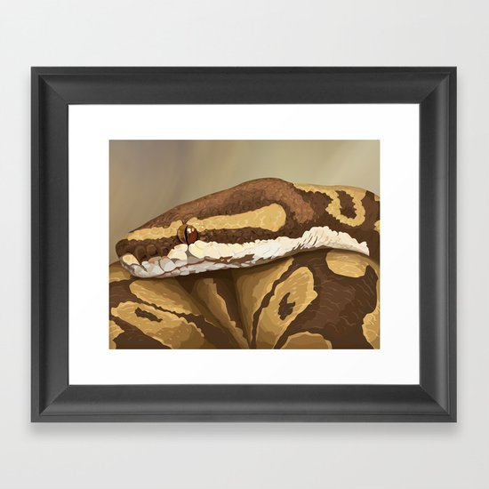 Ball Python (Odysseus) Framed Art Print