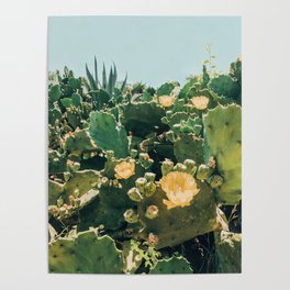 A Field of Prickly Pear Cactus Poster