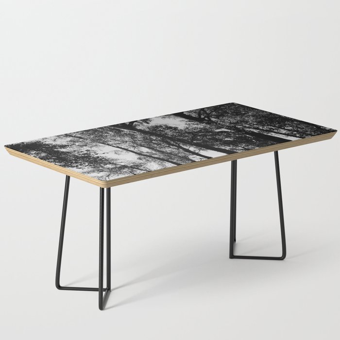 Summer Birch Trees in Black and White Coffee Table