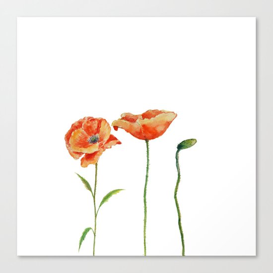 Simply poppy Vintage Watercolor illustration on white background on #Society6 Canvas Print