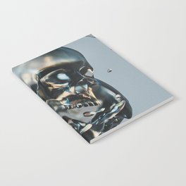 I guess you had to be there; headcase; metallic skulls crashing art portrait color photograph / photography Notebook
