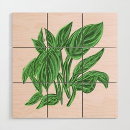 peace lily Wood Wall Art