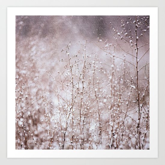 Snowy branches in the rain Art Print