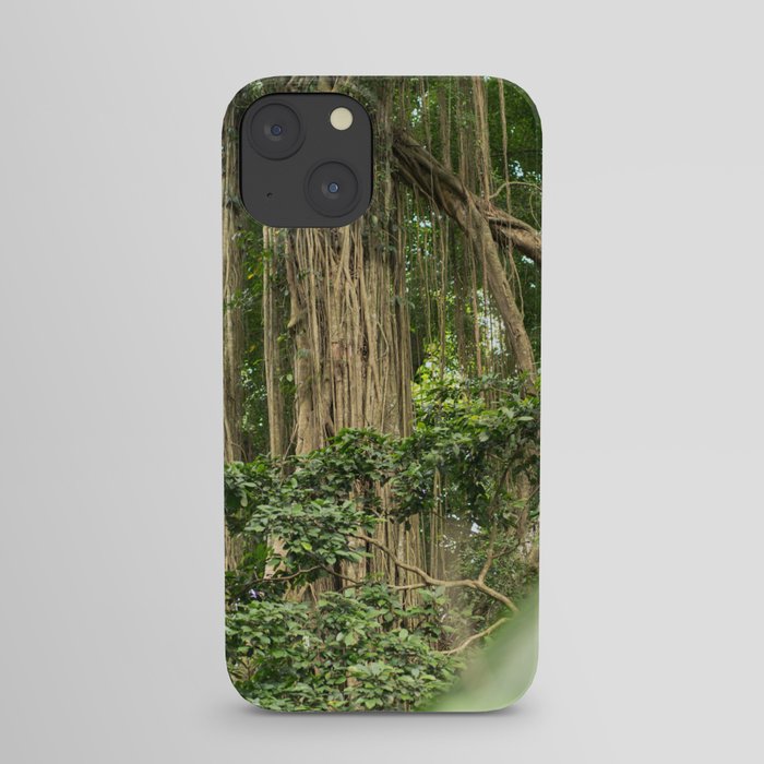 Brazil Photography - Tall Tropical Trees In The Rain Forest iPhone Case