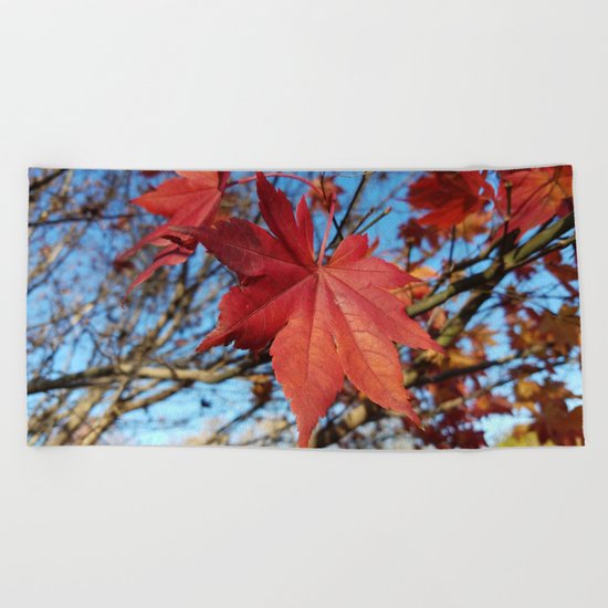 Maple leaf center stage Beach Towel