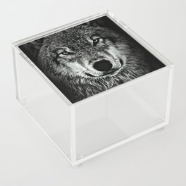 Cool Wolf Staring Digital Oil Painting Acrylic Box