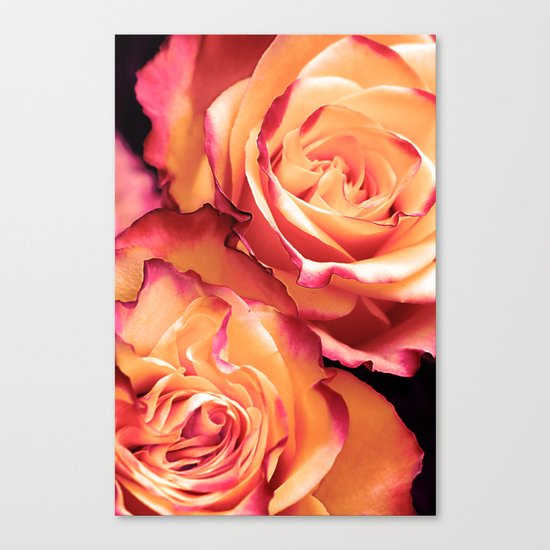 Romantic roses(13) Canvas Print