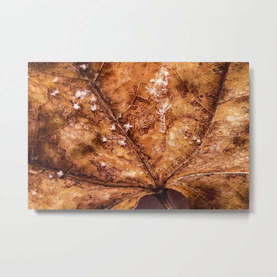 the texture of things Metal Print