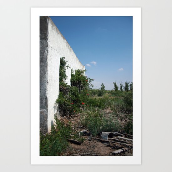 balmorhea, texas structure Art Print