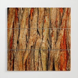 Tree bark texture | Abstract nature background Wood Wall Art