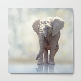 Young elephant near water.Digital art Metal Print | Fauna, Babyanimals, Water, Wallpaper, Mammal, Wildlife, Elephant, Young, Artwork, Nature 