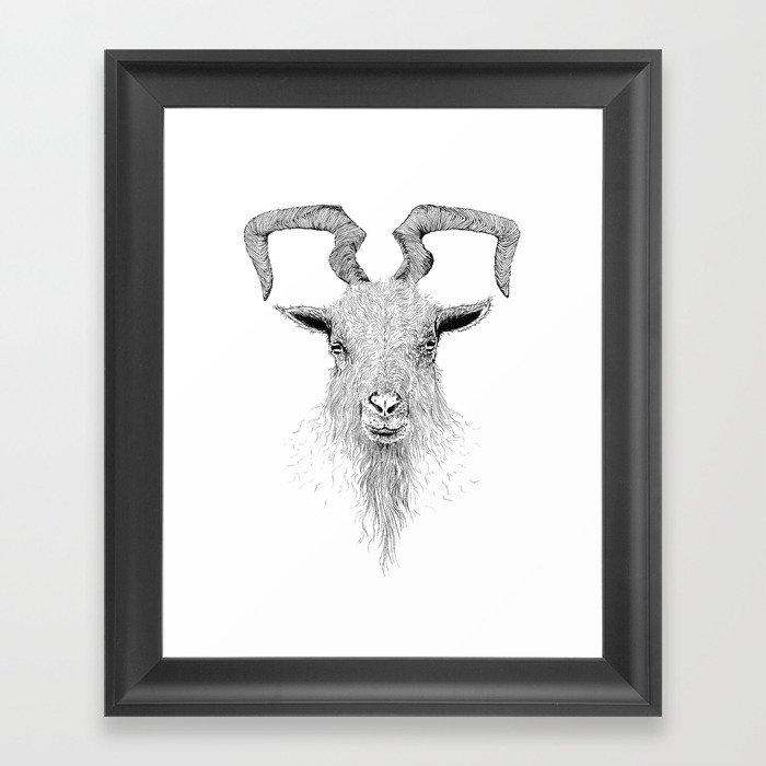 Goat Framed Art Print
