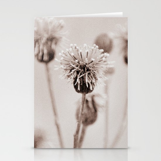 Cirsium 4009 Stationery Cards